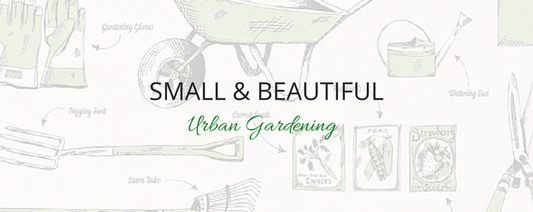 Urban Gardening