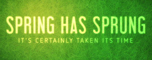 Spring Time