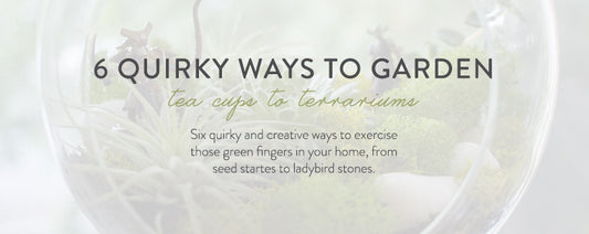 6 Quirky ways to garden