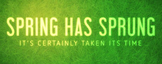 Spring has Sprung